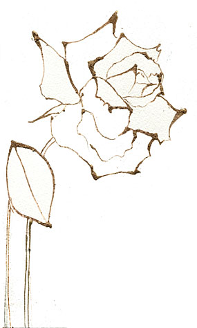 薔薇