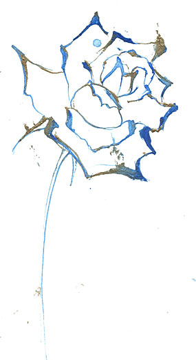 薔薇