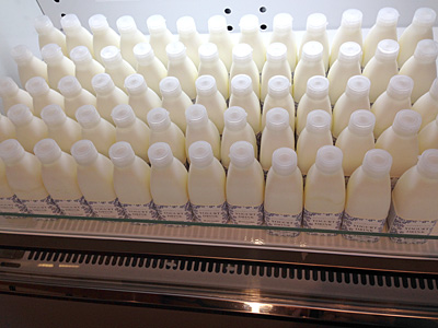 yogurt drink