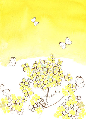 菜の花