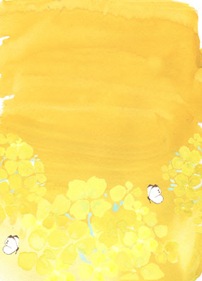 菜の花