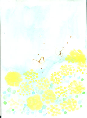 菜の花