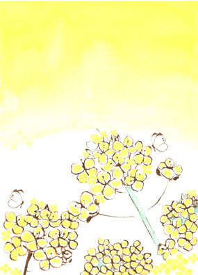 菜の花